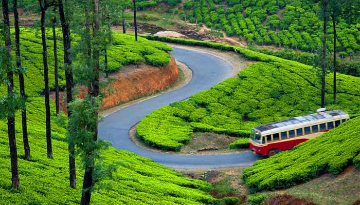 Cochin to Munnar